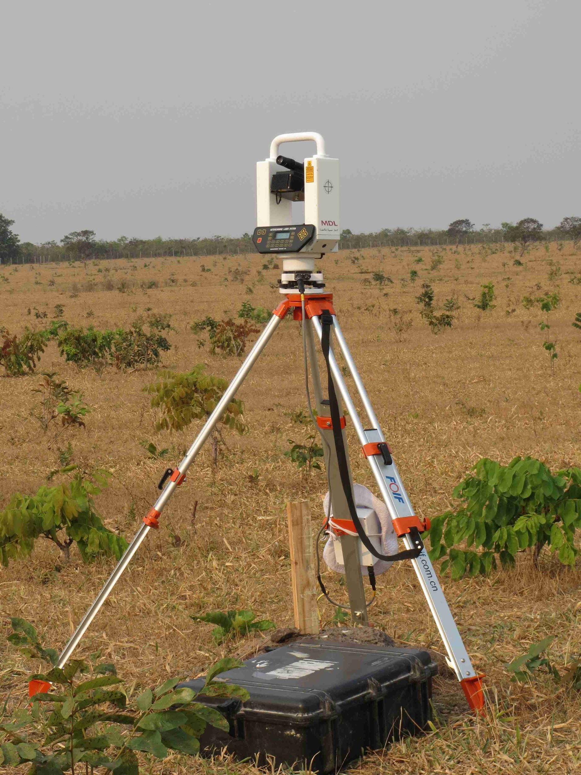 TLS scanner Amazon savanna