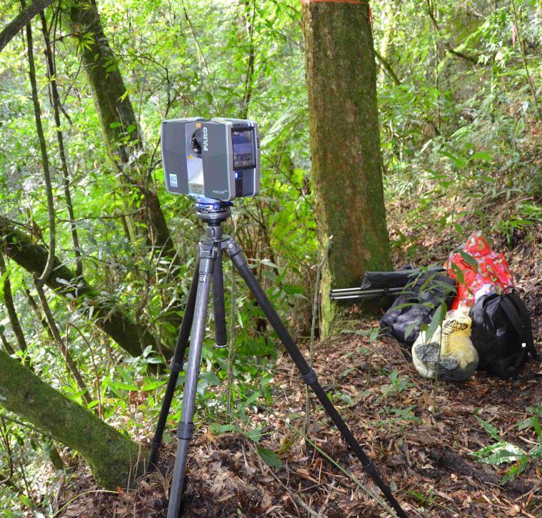 TLS forest inventory survey Xalapa Mexico