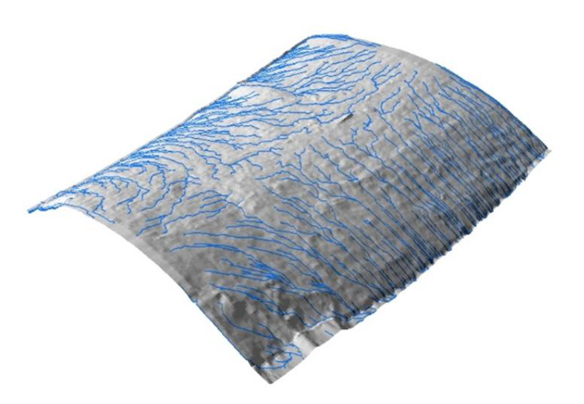 TLS point cloud of tree trunk bark